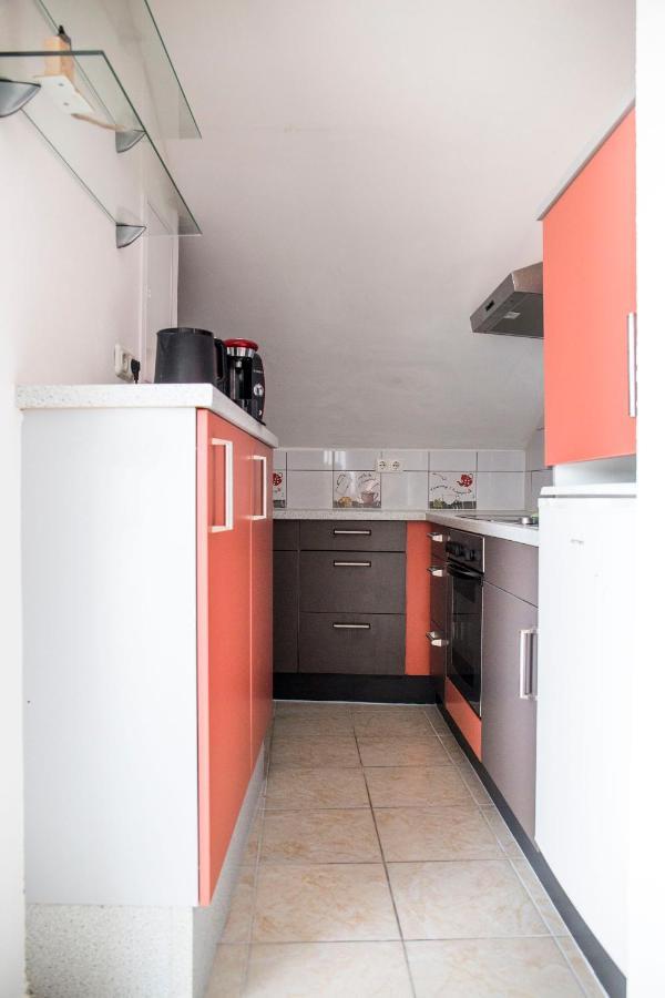 شقة Haus Am Donausee Weitenegg المظهر الخارجي الصورة